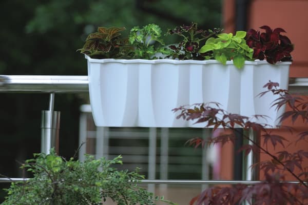 CROWN DCRO600 Räcke Blomkruka | Vit