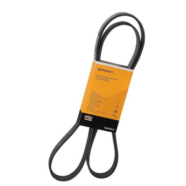 CONTITECH 6 PK 1580 multiribbet rem