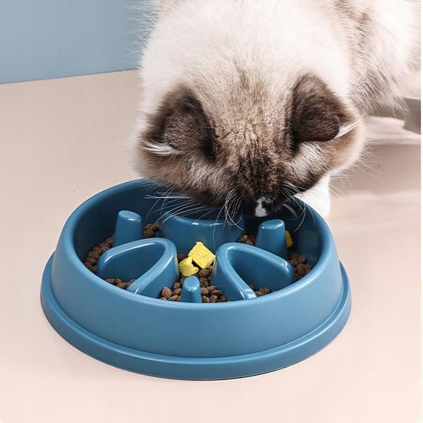 SLOW HUND/KATTSÅS, stor, med fack J4