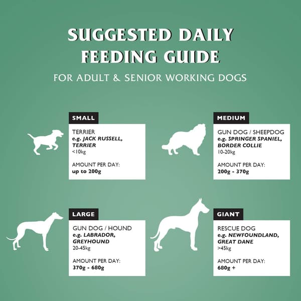 Dr. John Hypoallergenisk Tørfoder til Hunde med Kylling 4 kg