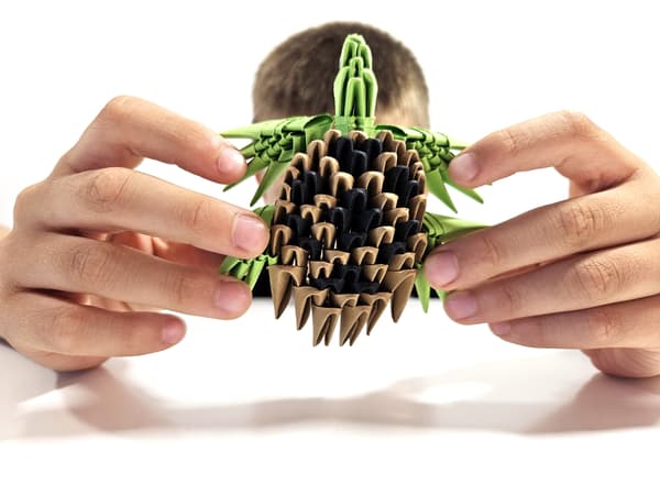 Origami 3D - Sköldpaddor