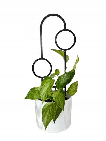 Stöd för klätterväxter Stöd för klätterblommor Pergolastege 38 cm