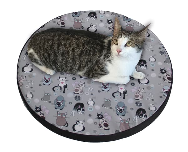 Kattbädd / Ringmadrass i elastiskt skum 55 cm kattmynta