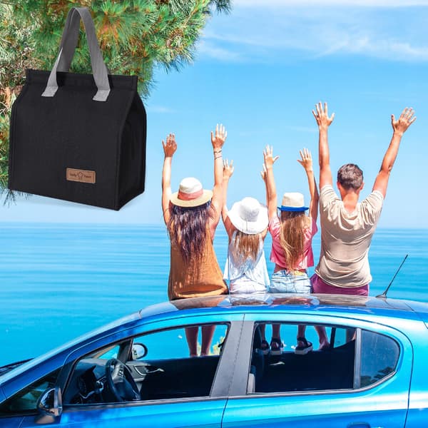 Termisk strandväska för mat, isolerad lunchlåda, 7L