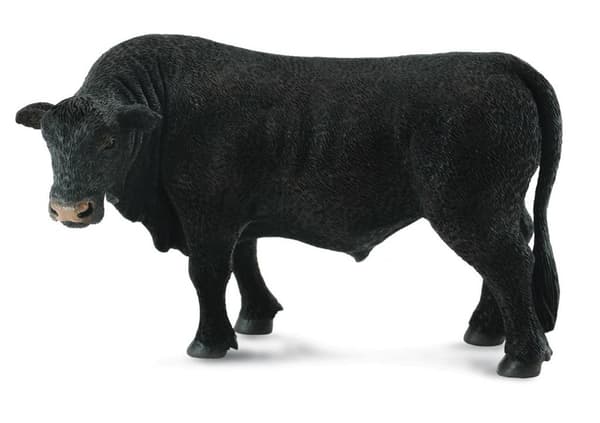 Sort Angus-tyr