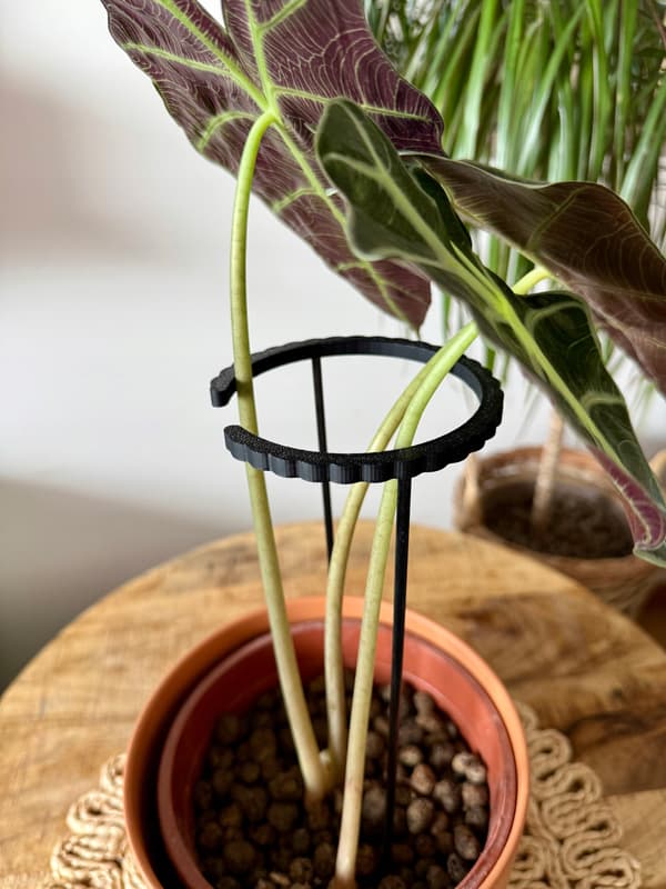 Støttering til blomsterplanter Klemme til støttering SM 60x10cm