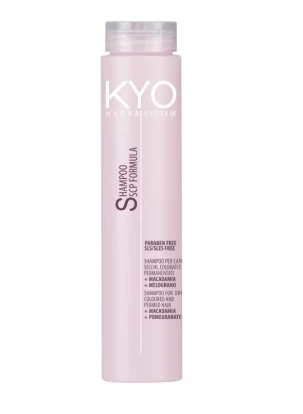 KYO Hydra System Tørt Farvet Hårshampoo 250 ml