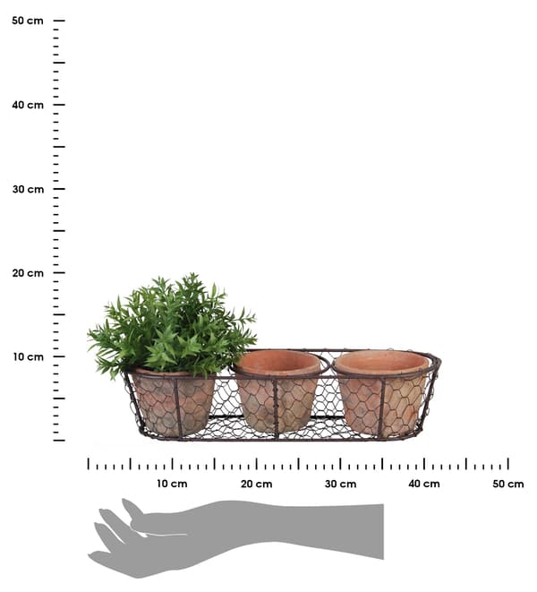 Set med rustika terrakottaplanter