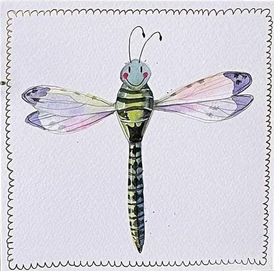 S519 Dragonfly-kort