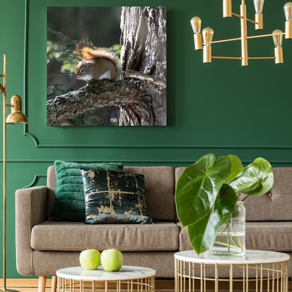 Lærredstryk Dyr Egern 80x80 cm