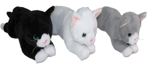 Kat 40cm MIX