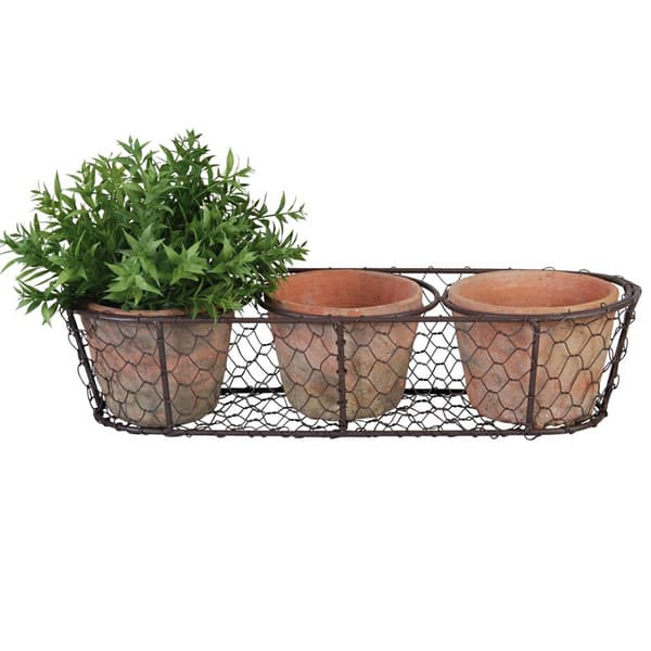 Set med rustika terrakottaplanter
