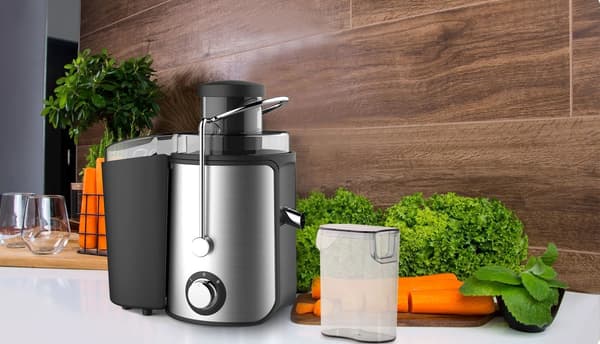 Berdsen BD-750 Juicer
