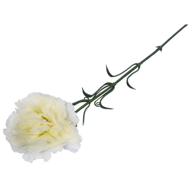 Enkel hvid nejlike 54 cm