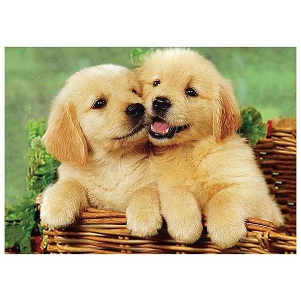 5D Diamantmosaik - Hunde 40x30cm