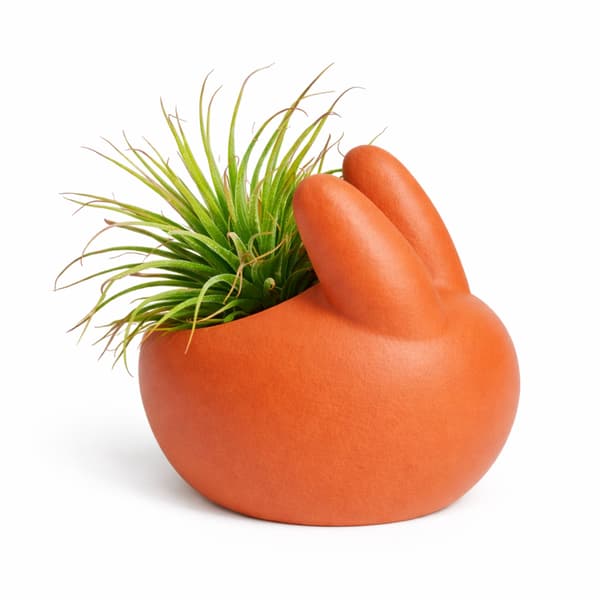 Påskhareljusstakar, orange, set om 3, för LED-värmeljus