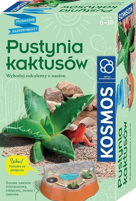 Kaktus-aavikko