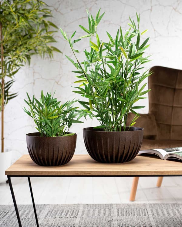 Strippet ECO kaffe espresso urtepotte