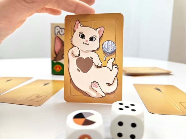 Alexander Pocket Memory Card Game Killinger