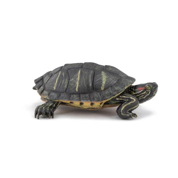 Florida-skildpadde