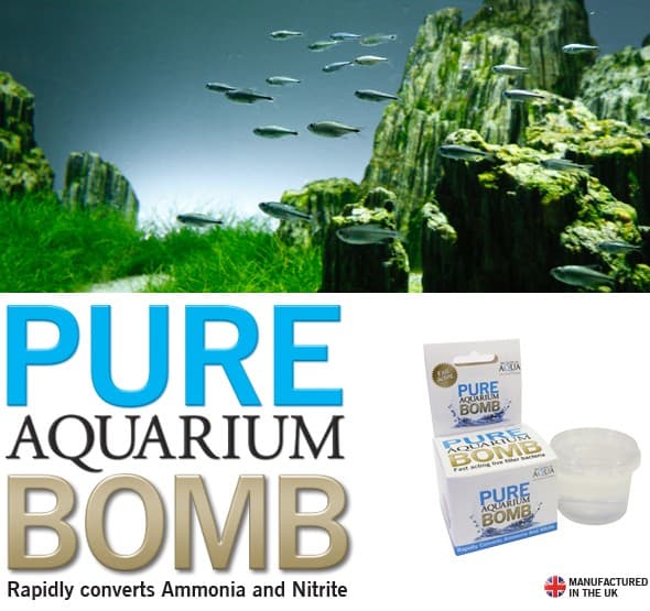 Evolution Aqua PURE BOMB - bakteereja akvaariosi käynnistämiseen