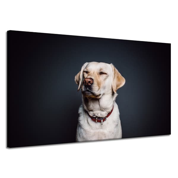 Lærredstryk Dyr Hund Sort baggrund 120X70