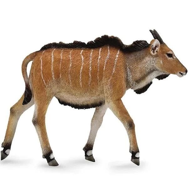 Eland antilope kalv