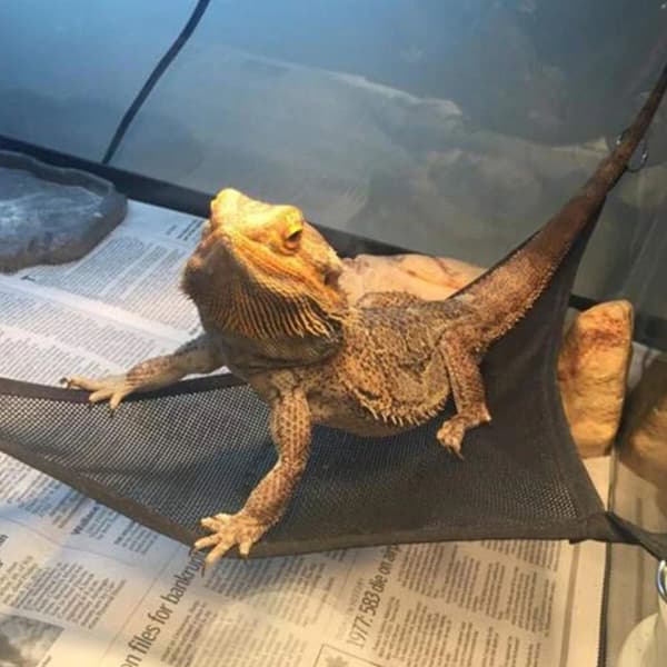 Repti-Zoo Hammock S - hængekøje til krybdyr