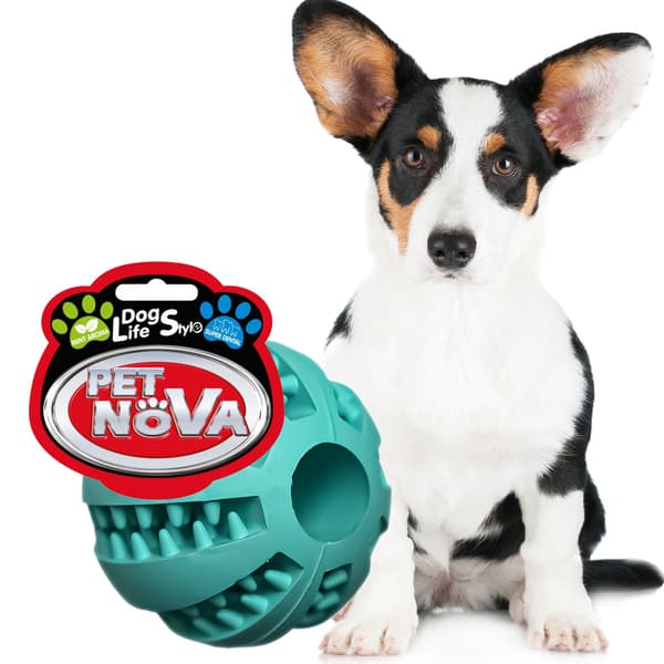 Pet Nova legetøj - superdental baseball mintgrøn 5cm