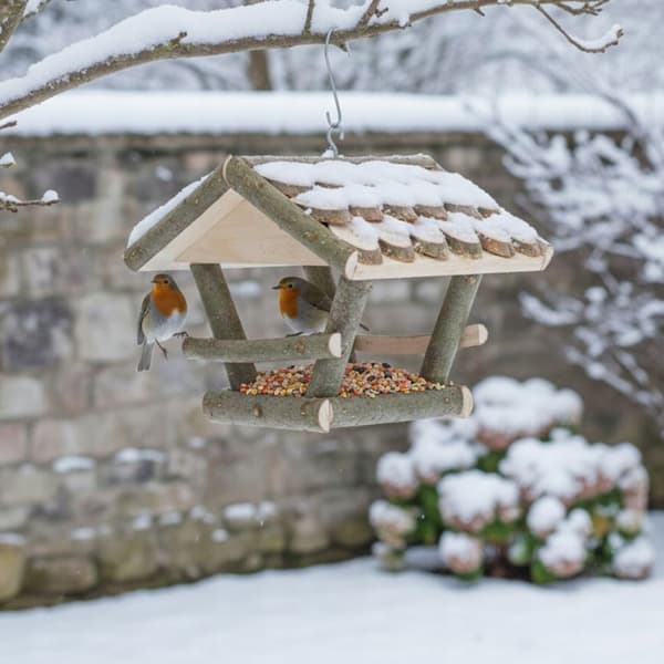 Hængende fuglefoderautomat til pilefrø, dekorativ, have, stærk