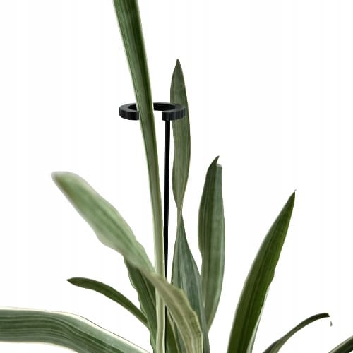 Klemmestøttering til blomsterplanter, støttering S60x5cm x3