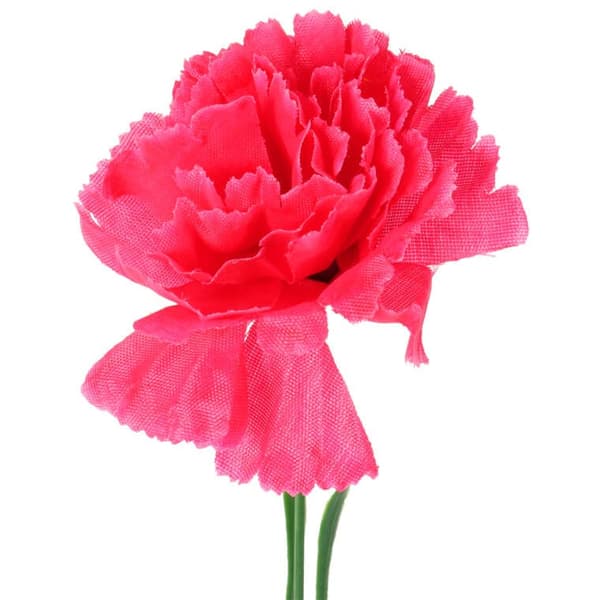 En mörkrosa nejlika, 46 cm