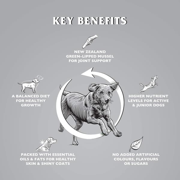 Dr John Titanium torrfoder för hundar 15 kg kyckling med grönsaker