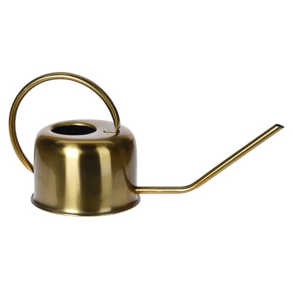 Guld vandkande i rustfrit stål 1 l