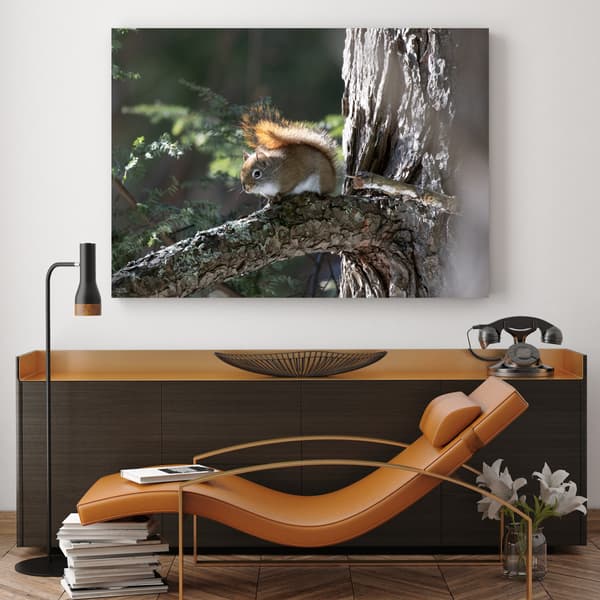 Lærredstryk Dyr Egern 120x70 cm