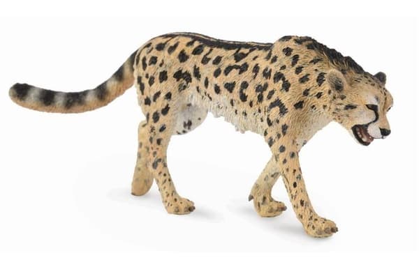 Saml. Konge gepard