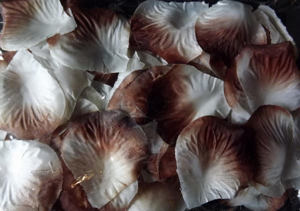 Tygrosblad förpackade i vit och brun påse