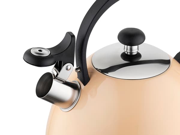 BRILLO KEDEL I RUSTFRIT STÅL 2,5L PEACH