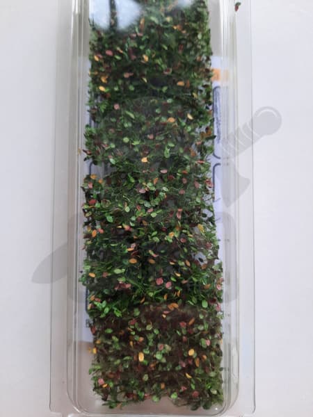 SIL920-33S Tidlige efterårsblade og grene af bøgetræ