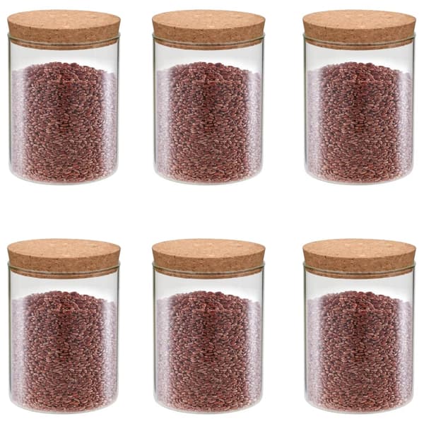 vidaXL Glasburkar med korklock, 6 st, 650 ml