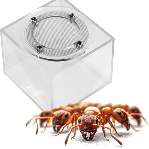 Ant Expert New Land - arenaformicariummodul