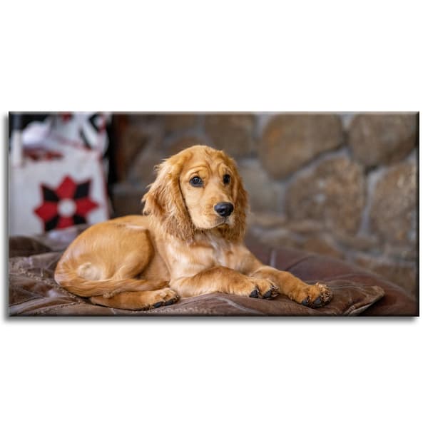 Lærredstryk Dyr Cocker Dog 80x40 cm