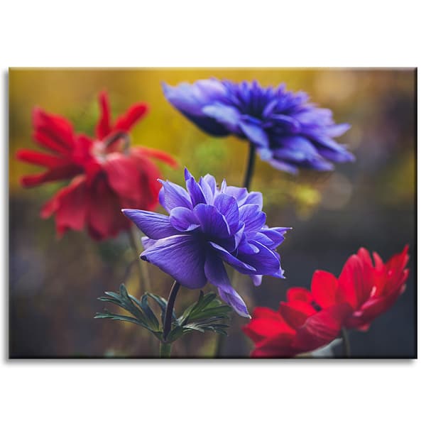 Lærredstryk Botanik Vilde blomster 70x50 cm