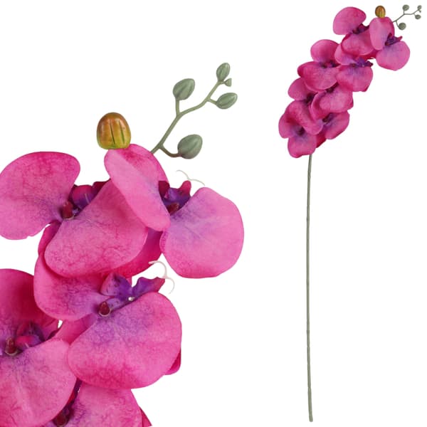 ORKIDEANOKSEN 90 cm VÄRI tummanpunainen