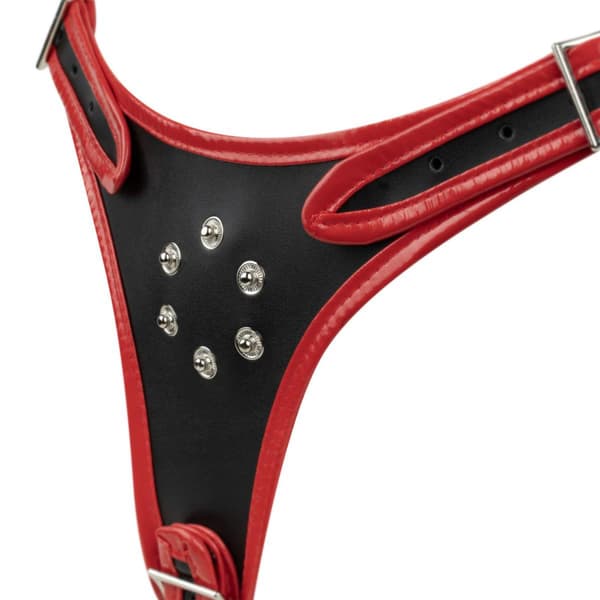 Fetish Collection - Kolmoisdildo Strap-on-valjaat
