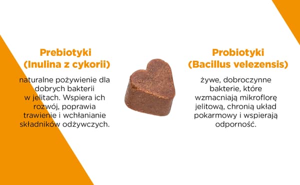 ProbioVet 2 x 120 st.