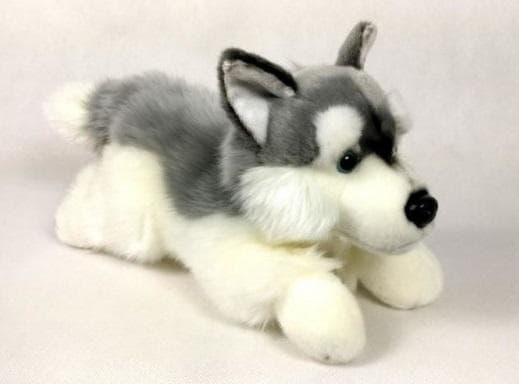 Husky-koira 30 cm