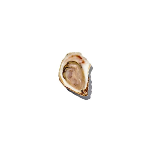 Good Grips Østerskniv / OXO