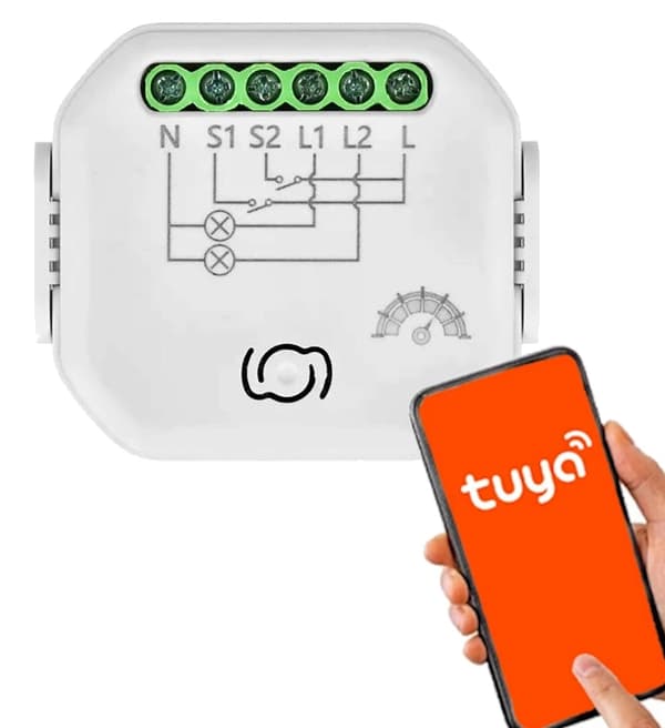 Controller 2-kanals relæ Tuya Wi-Fi Bluetooth lysdæmper til boksen
