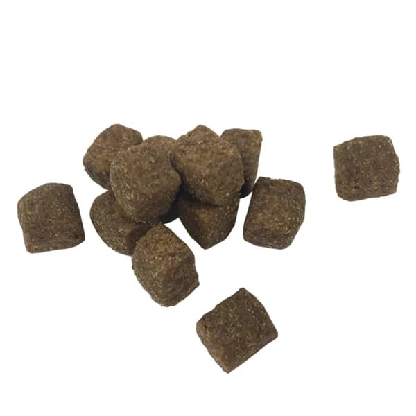 vidaXL Adult Active kylling- og fisktørfoder til hunde 15 kg